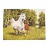 Картина за рисуване по номера 40x50 см -Кон и жребче в галоп 