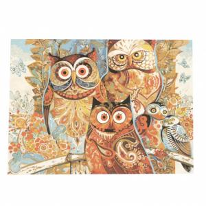 Картина за рисуване по номера 40x50 см - Цветни сови 
