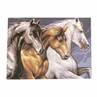 Картина за рисуване по номера 40x50 см -Диви коне 