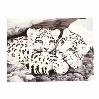 Картина за рисуване по номера 40x50 см -Бели тигърчета 