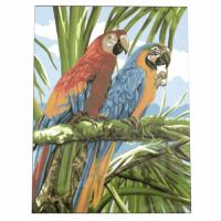 Картина за рисуване по номера 40x50 см - Цветни папагали 