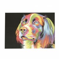 Картина за рисуване по номера 40x50 см - Куче дъга 