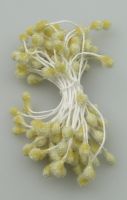тичинки тип захарни двустранни 5x7x57 мм жълти ±65 бр