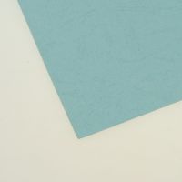 Картон релефен А4 - 21 x 29.7 см. син светло - 230 гр. - 1 лист