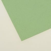 Картон релефен А4 - 21 x 29.7 см. зелен светло - 230 гр. - 1 лист