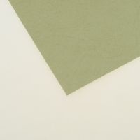 Картон релефен А4 - 21 x 29.7 см. пясъчен - 200 гр. - 1 лист